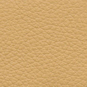 champagne beige pebbled leather