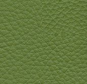 Portafoglio Donna Morbido Suave  L - Verde bruco