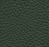 loden green pebbled leather