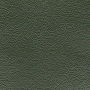 olive green smooth leather