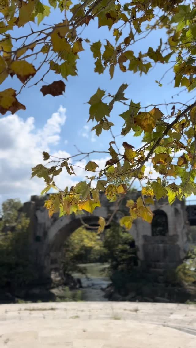 🍂🍂🍂
.
.
.
#italianleatherbags #madeinitaly #custommade #luxurybags #italiancraftsmanship #rome #shoplocal #familybusiness #leatherbags #romeitaly #romecity