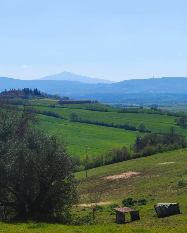 Soft light, fresh greens, and a quiet sense of renewal in the air.
.
.
.
#italianleatherbags #handmadeleatherbag #madeinitaly #leathercraft #craftsmanship #leatherbag #leathershoproma #handleatherbag #leathershop #rome #spring