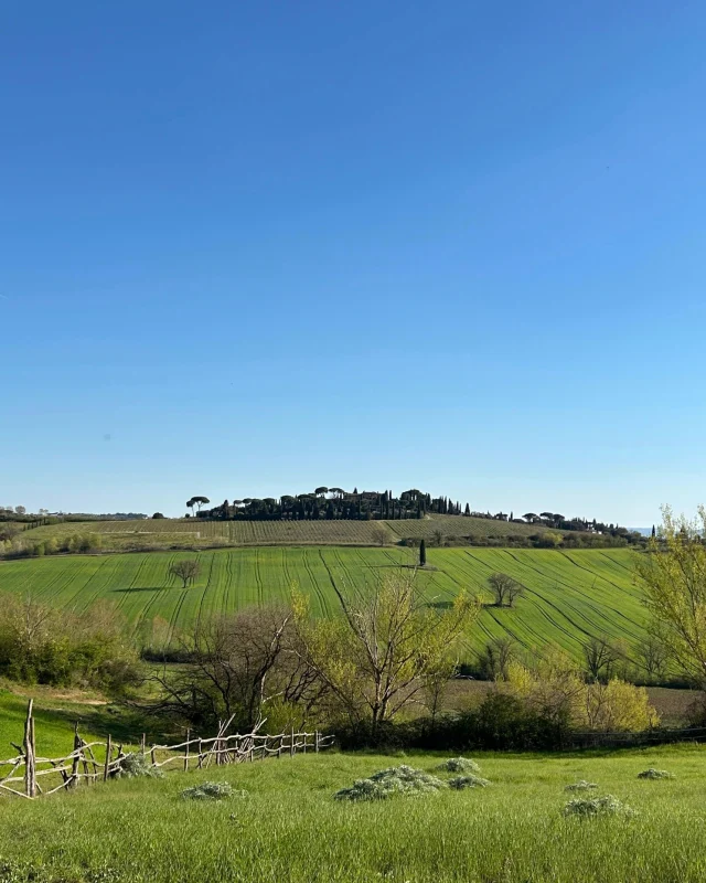 🌸🌱
.
.
.
#italianleatherbags #handmadeleatherbag #madeinitaly #leathercraft #craftsmanship #leatherbag #leathershoproma #handleatherbag #leathershop #rome